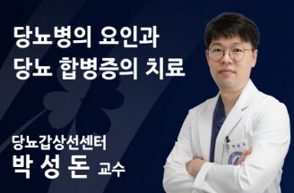 당뇨병의 요인과 당뇨 합병증의 치료