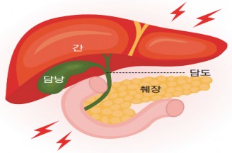  “간담도췌장 믿고 찾는 지역병원으로 경쟁력 확보”